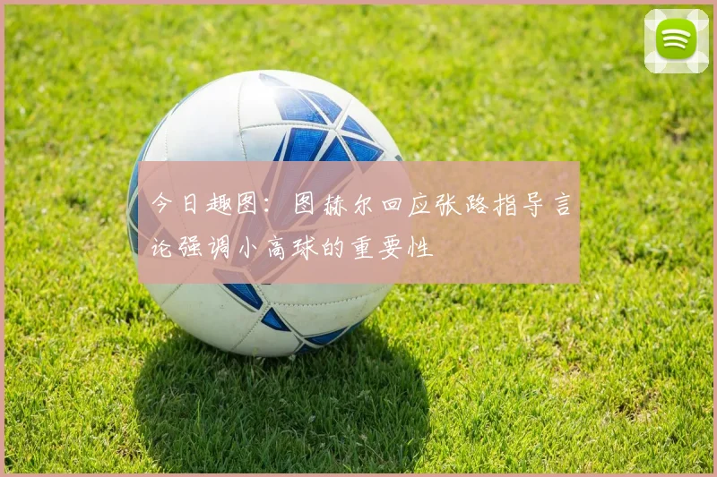 今日趣图：图赫尔回应张路指导言论强调小高球的重要性
