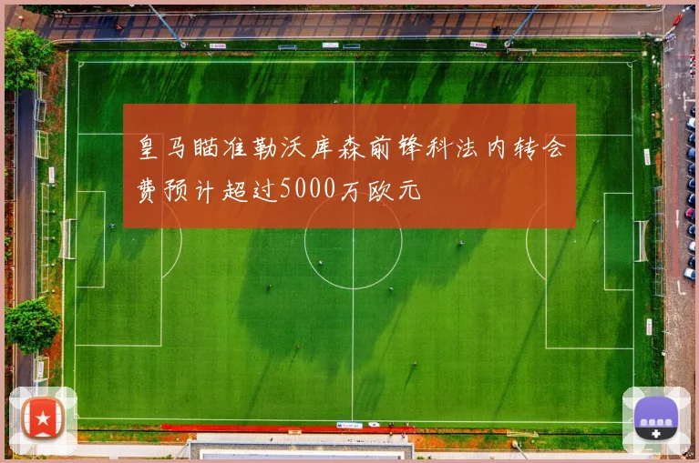 皇马瞄准勒沃库森前锋科法内转会费预计超过5000万欧元